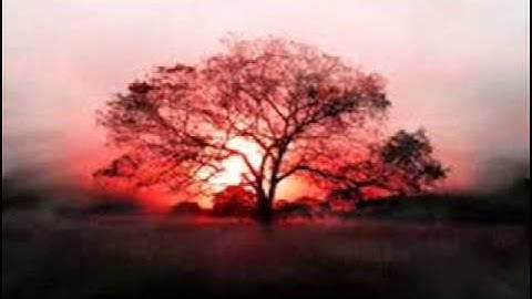 تجويد - محمد صديق المنشاوي - سورة التغابن