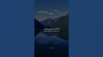 قَالَ أَلَمۡ نُرَبِّكَ فِينَا وَلِيدٗا || تلاوة من سورة الشعراء خاشعة جدا . #اكسبلور