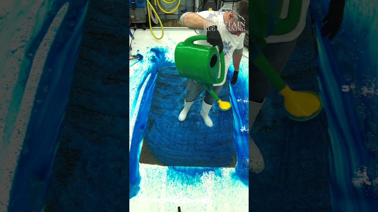 This Rug Was Left to ROT… Watch This! Satisfying ASMR Carpet Cleaning.