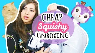 HUGE Squishy Package! | Cheap Squishies: Wish, Banggood, Ebay