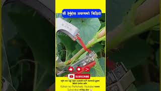 kisankopathsala agriculture localkukhurapalan viral machinery