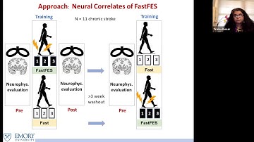 Keynote: Neural and Biomechanical Correlates of Post-Stroke Gait Retraining
