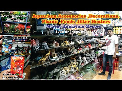 aquarium accessories store