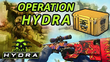 CS:GO Operation Hydra Case Weapon Skins