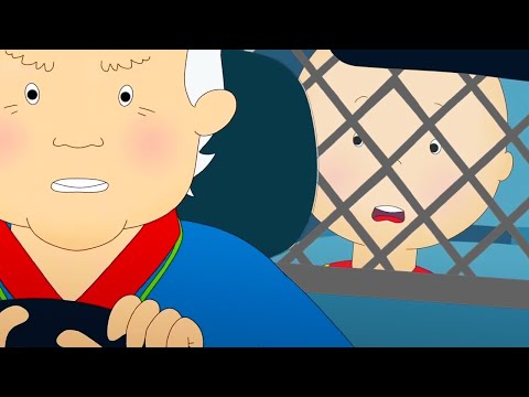 Kaçırılan Caillou | Caillou | Türk Çocuk Çizgi Filmleri | WildBrain Türkçe