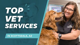Cochise Animal Hospital Tour | Quality Pet Care in Scottsdale, Arizona