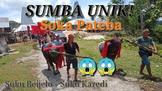 Budaya Sumba  || Soka Pateba || Part I