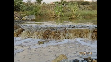 تلاوة الشيخ عبدالله معافا 4