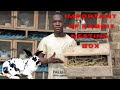 Important of rabbit nesting box || rabbit farming in nigeria