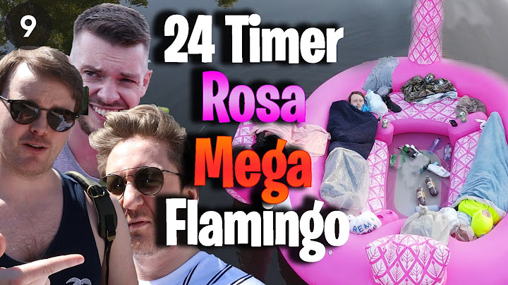 24 Timer på Rosa Mega-Flamingo (i vannet)