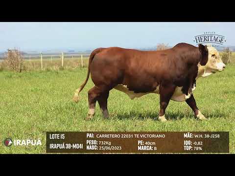 LOTE 15   IRAPUÁ 38 M041