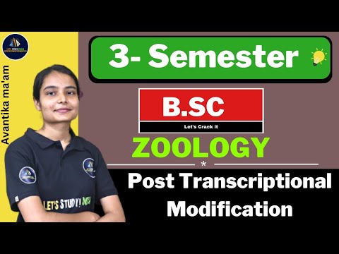 Post Transcriptional Modification | B.Sc. Zoology 3rd Semester | Avantika Ma'am |