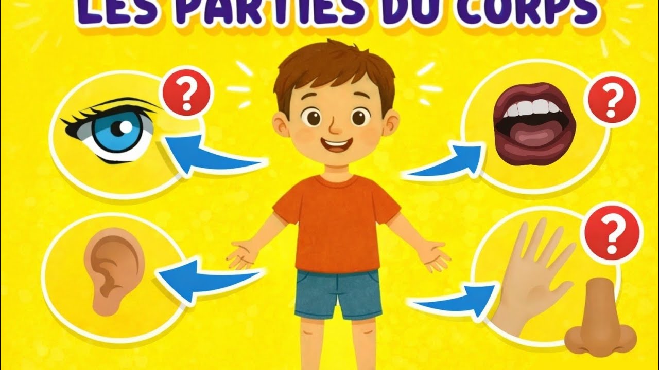 Apprendre les parties du corps 👀👂🖐️