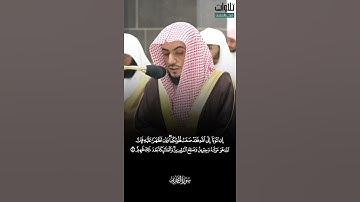 إِن تَتُوبَا إِلَى اللَّهِ فَقَدْ صَغَتْ قُلُوبُكُمَا ۖ. تلاوة مميزة الشيخ الوليد الشمسان.