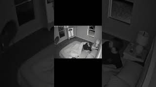 Wild Animal Smashes Through Bedroom Window