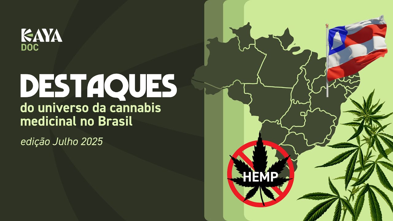 Newsletter Kaya Doc – Julho 2025 | Novas leis, estudos e dados do mercado de cannabis medicinal