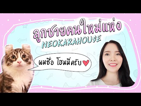 ทาสแมวต้องดู | ไปรับลูกชายพันธุ์ American Curl กันค่ะ | Kaopoon Onlife