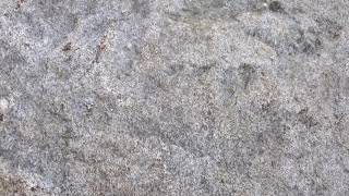 Download Lagu Whitesnake , Carry Your Load , Karaoke MP3