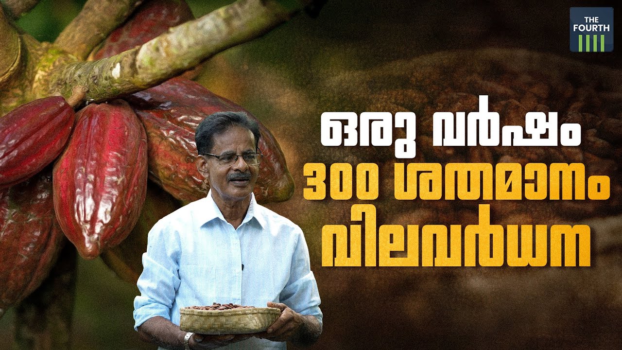   300    Cocoa Cultivation  Kottayam