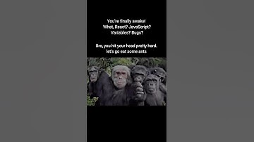 Developer funny meme video #coding #programmer #programmerlife #funnydev #shorts #memecoding #js
