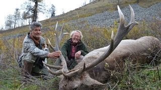 ALTAY MARAL HUNTING (Chasse) IN KAZAKHSTAN  2013 season. By Seladang