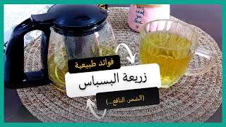 فوائد زريعة البسباس (الشمر. النافع..)