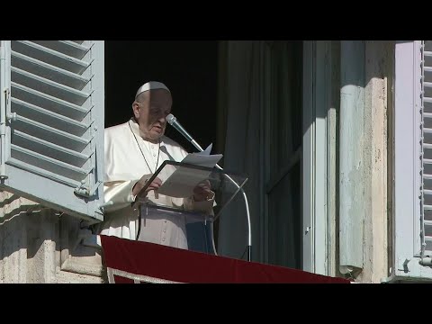 Pope Francis apologises