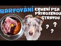 BARFOVÁNÍ - krmení psa přirozenou stravou