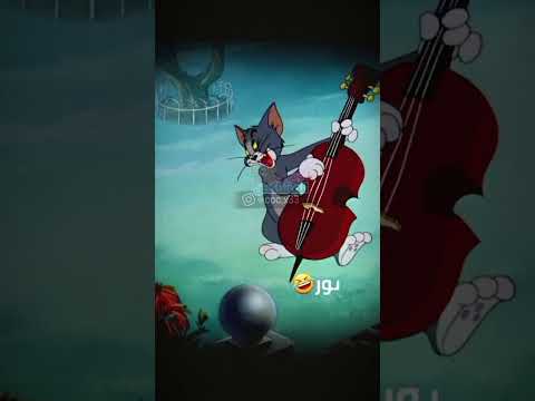 منشن فاطمة مضحك ضحك اكسبلور بطوط توم جيرى ضحك مضحك السعودية اكسبلور ترند توم مشاكس