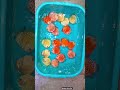 @PlantedDiscusFishTank @discuslover1188 Colourful Discuss fish