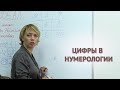 Цифры в нумерологии. Цифра 0. Владимир и Вера Кармановы