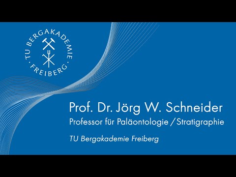 Alumni-Porträt Herr Prof. Jörg W. Schneider - TU Bergakademie Freiberg