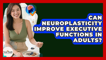 Can Neuroplasticity Improve Executive Functions In Adults? - Brain Health Support Network