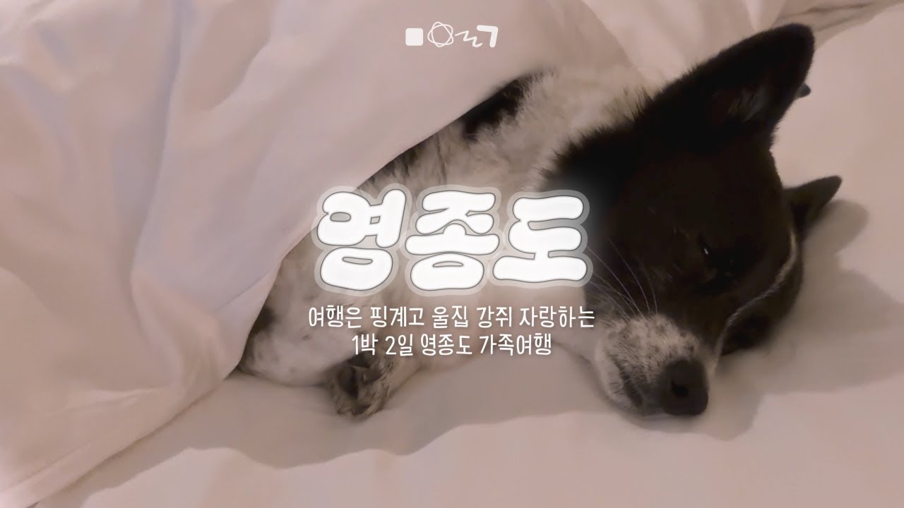 영종도 여행 vlog | 여행은 핑계고 울집 강쥐 자랑하는 1박 2일 가족여행 🐶 | 영종도 반려견 동반