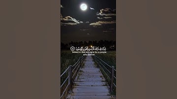 ألم يروا انا جعلنا الليل🌿ليسكنوا فيه و النهار مبصرا🌿تلاوة للقارئ اسلام صبحي 🌿