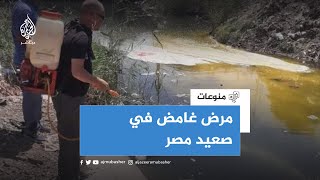 رعب في صعيد مصر بعد انتشار مرض غامض