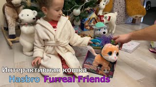 Новый год 2022. Интерактивная кошка Hasbro Furreal Friends. Распаковка и обзор.