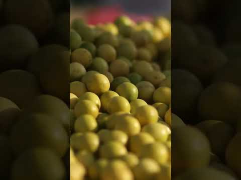 Watch Starving For Change A Film By Cyrus Viccaji On YouTube Com AKUGlobal 