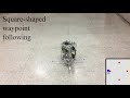 Stabilization and Waypoint Following Control of Unicycle Robot