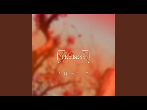 Mira Miracles en YouTube Mira Miracles en YouTube