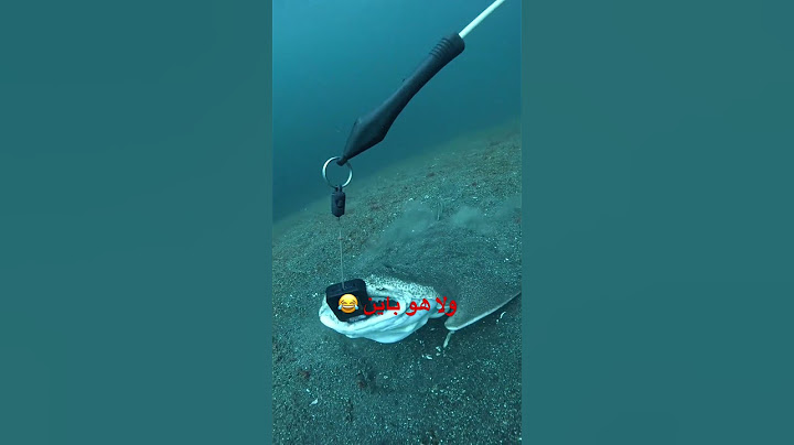 #fishing #صيد #sea #الصيد #اكسبلور #بحر #صيدالسمك #سمك #fish #ترند ##trending #explore #اكسبلور