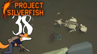 Project Silverfish #38 - Artefacts At The Bottom of The Lake