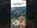 اشو خودتو تحقیر کردی با 