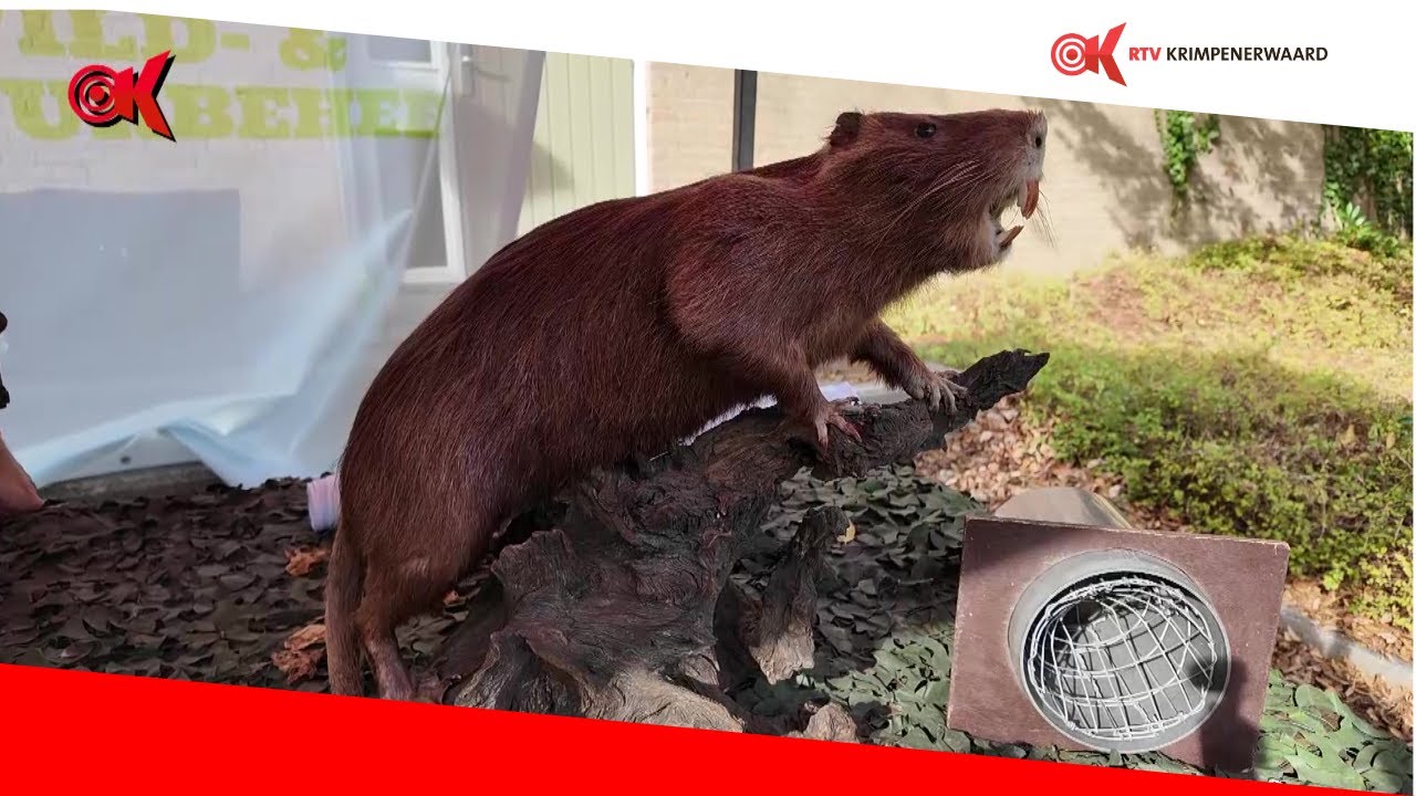 Dag van Wild- en  Natuurbeheer - Berkenwoude