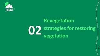 3.2. Revegetation strategies for restoring vegetation