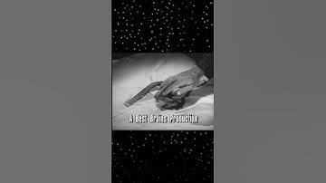 MST3K: The Amazing Transparent Man Stinger