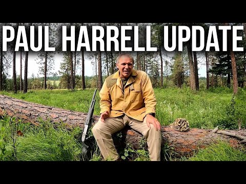 I spoke with the Paul Harrell team. An update.