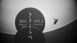 The sound of the flight of a scarab beetle - a comparison between 3DX and HPL2 Processor