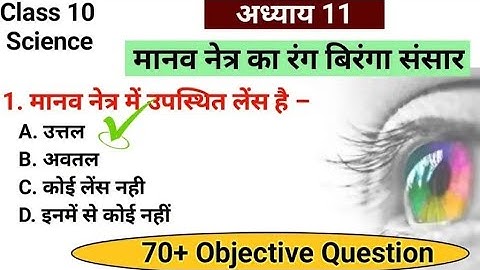 Manav Netra Tatha Rang Biranga Sansar Class 10 Objective Question || Class 10 Vidhut Dhara Objective