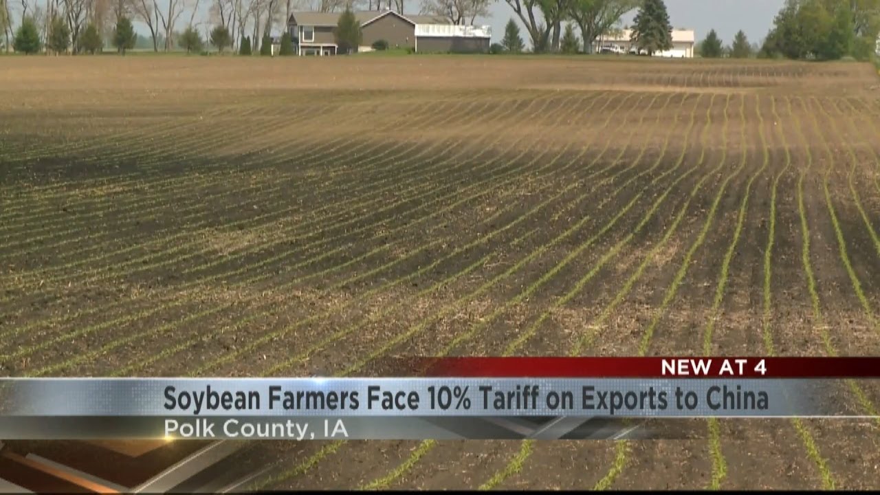 Iowa soybean farmers face 10% tariff on exports to China